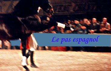 comment apprendre le pas espagnol a son cheval